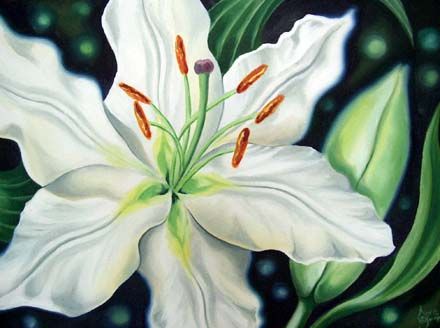 440x328 Gallery For Gt White Lily Flower Painting Lilies - Lily Flower Painting