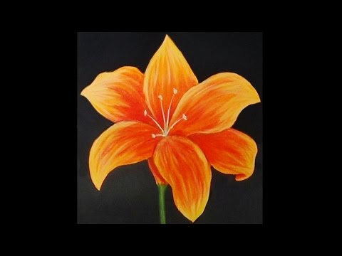 480x360 Orange Lily Acrylic Painting - Lily Flower Painting