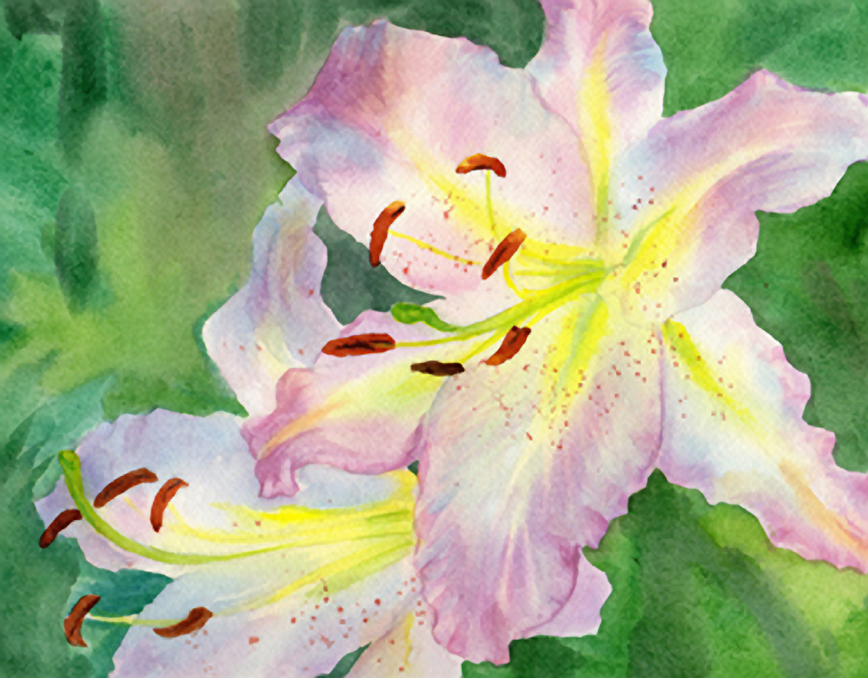 1263x987 Painting Lily Flowers - Lily Flower Painting