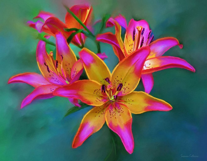 660x514 Lily Flower Painting - Lily Flower Painting