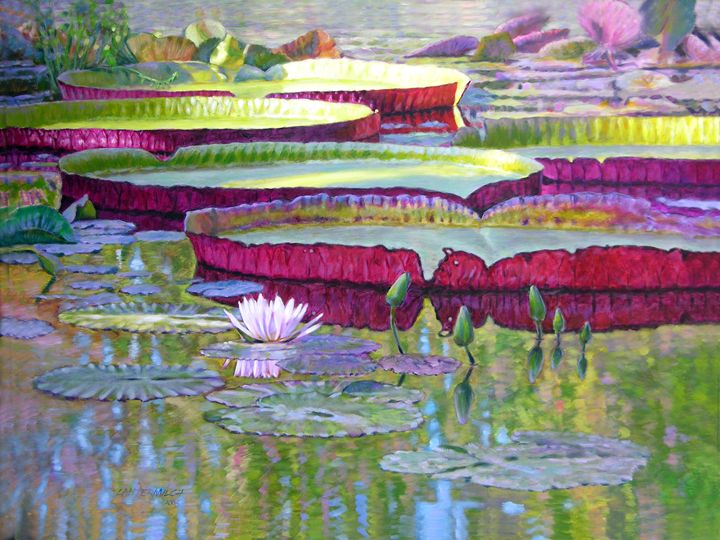 720x540 Sunlight On Lily Pads - Lily Pad Painting