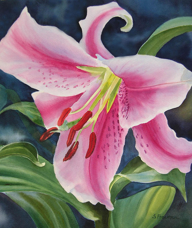 756x900 Pink And White Lily Painting By Sharon Freeman - Lily Painting