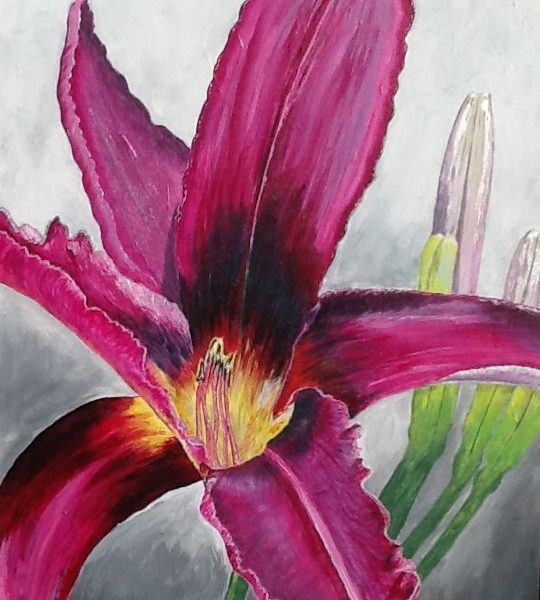 540x600 Pink Lily, Acrylic 18x24 - Lily Painting