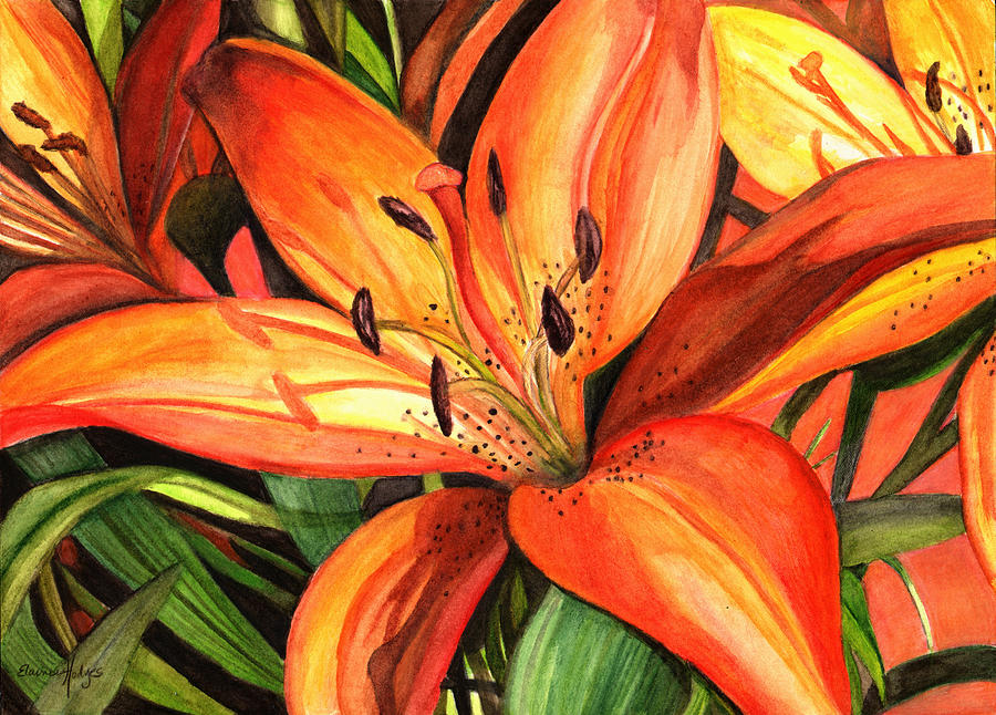 900x646 Tiger Lilies Painting By Elaine Hodges - Lily Painting