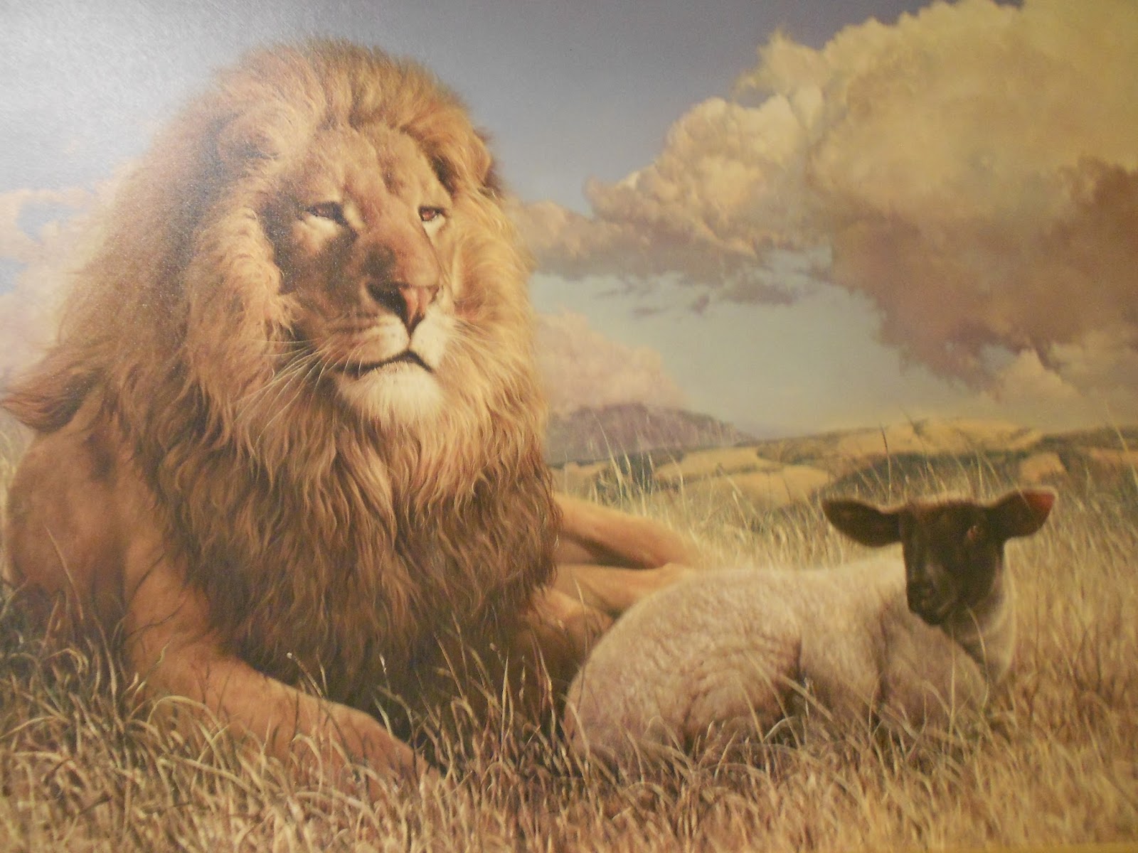 Lion And Lamb Painting at PaintingValley.com | Explore collection of