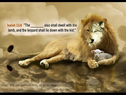 480x360 The Shall Lie Down With The Lamb The Lion Not Wolf! - Lion And Lamb Painting
