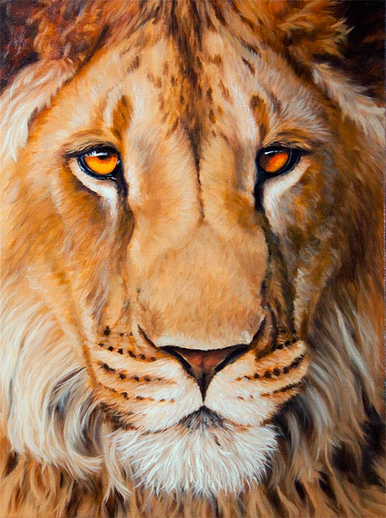 559x750 Latest Development Of The Lion Painting. How To Draw And Paint - Lion Art Painting