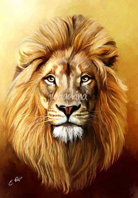 455x650 Lion By Ellen Paintings - Lion Art Painting