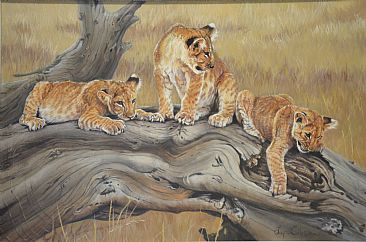 366x242 Lion Cubs - Lion Cub Painting