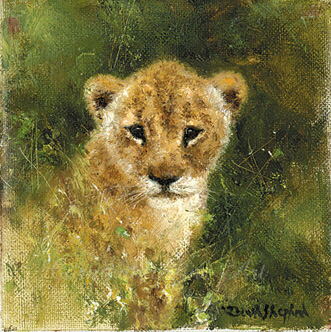 331x332 David Shepherd Signed, Limited Edition, Prints, Lion Cub, Cameo - Lion Cub Painting