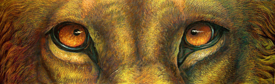 900x276 Lion's Eyes By Calcitemink1610 - Lion Eyes Painting