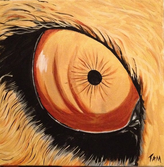 570x580 Lion Eyes Painting Lion Eye - Lion Eyes Painting