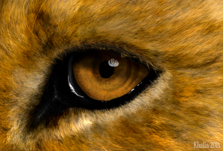 900x610 Realistic Lion Eye Painting By Khaliaart - Lion Eyes Painting