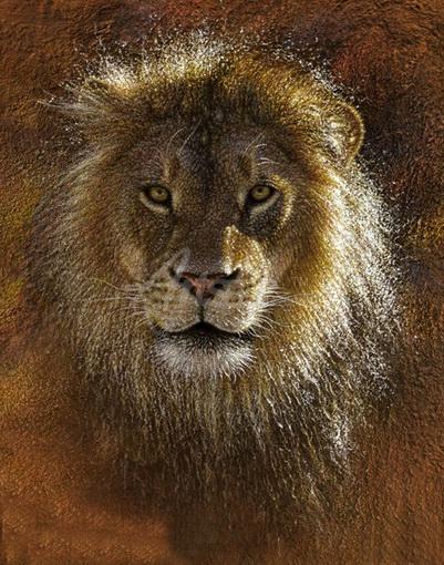 401x510 The Sharp Eyes Of Lion Oil Painting Op Cl4 591 - Lion Eyes Painting