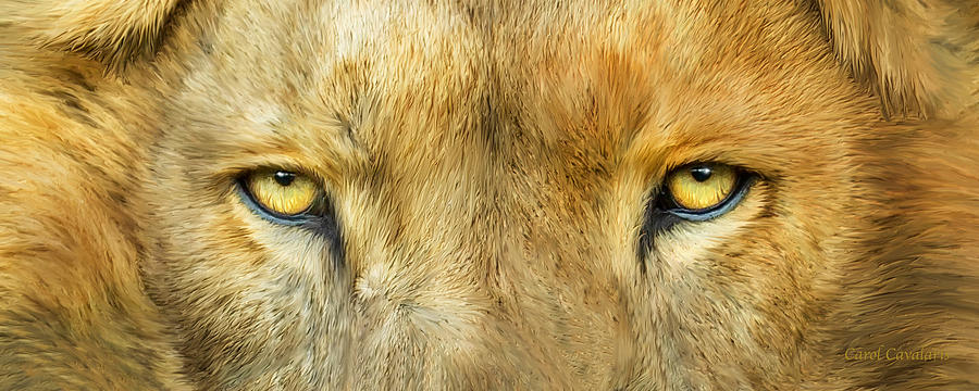 900x360 Wild Eyes - Lion Eyes Painting