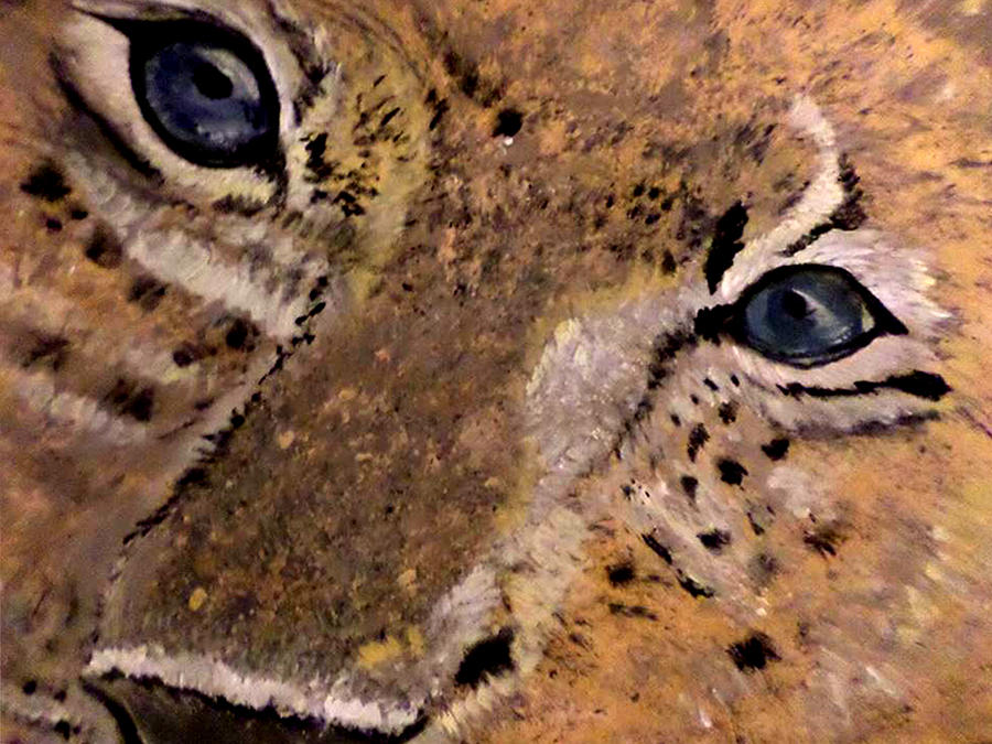 900x675 Your Lion Eyes Painting By Michelle Audas - Lion Eyes Painting