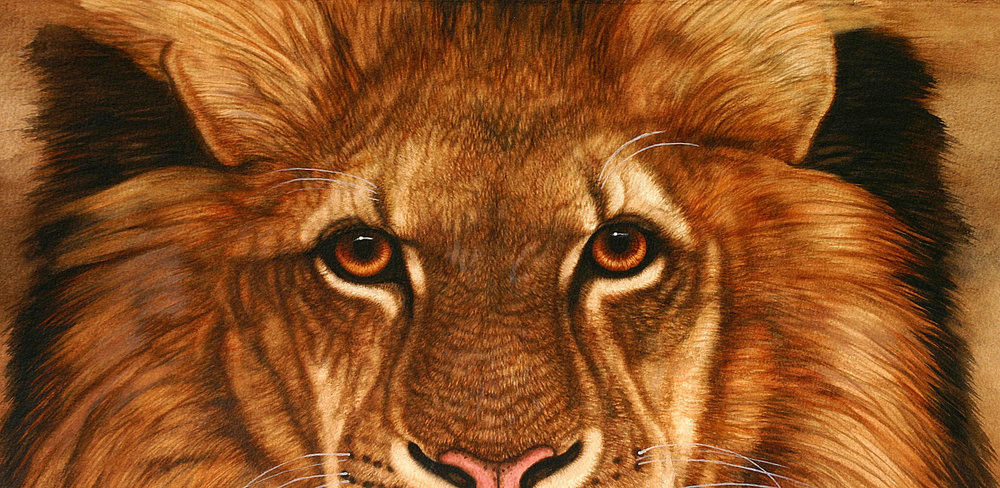 1000x488 Eyes Of The Lion Jacquie Vaux Art - Lion Eyes Painting
