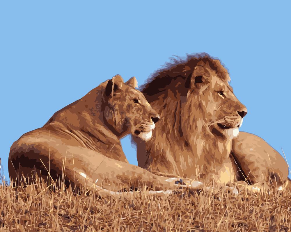 1000x800 Mahuaf I1003 Lion Family Painting By Numbers Animal Art Canvas - Lion Family Painting