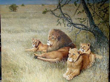 366x274 Lion Family - Lion Family Painting
