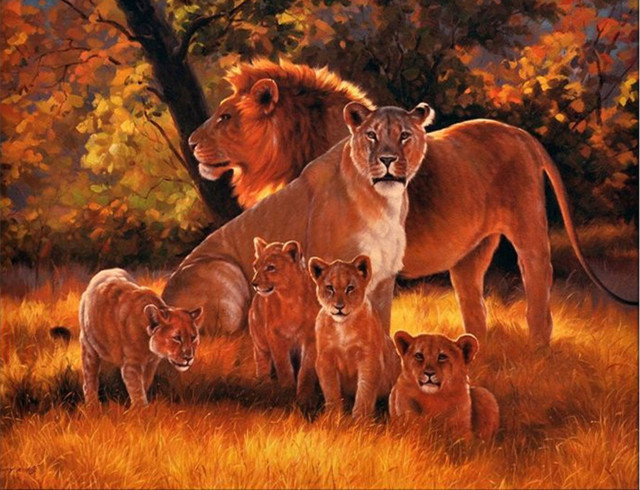 640x490 5d Diy Diamond Painting Lion Family Crystal Diamond Painting Cross - Lion Family Painting