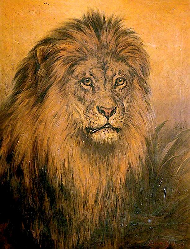 613x800 Lions Head Painting Robert Morley Oil Paintings - Lion Head Painting