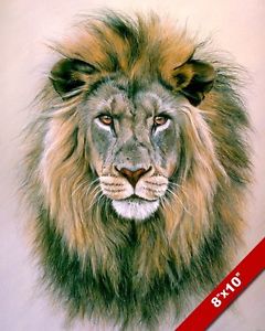 240x300 Wild African Lion Head W Large Mane Animal Painting Art Real - Lion Head Painting