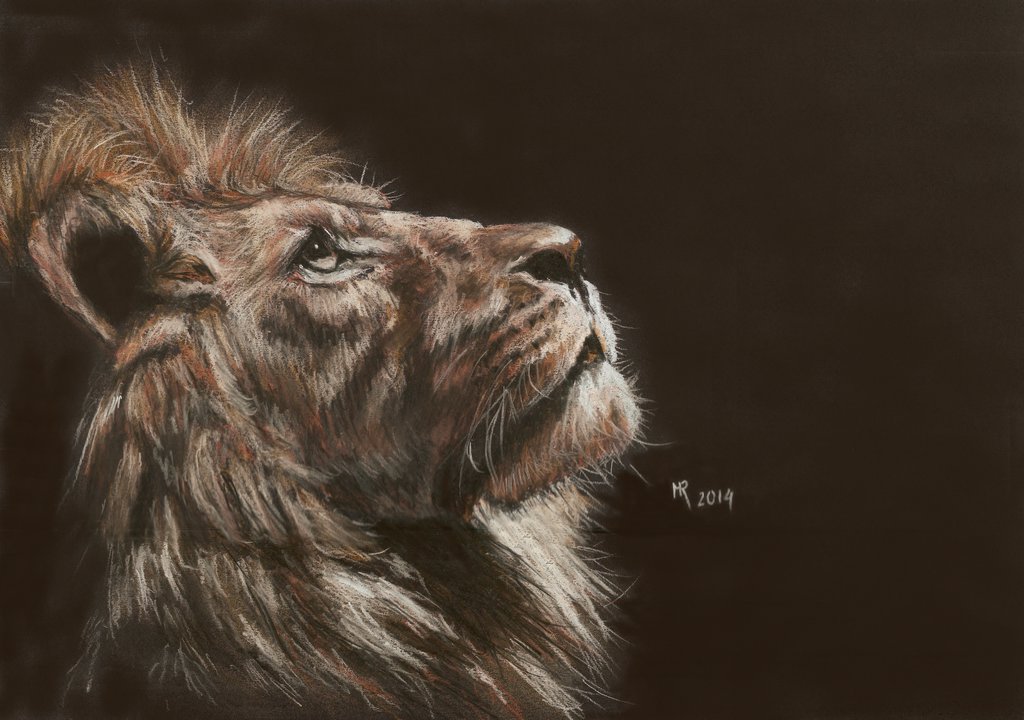 Lion Head Painting at Explore collection of Lion