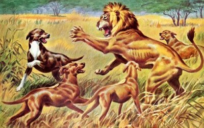 400x251 Lion Hunt In Olden Days (Painting By Walter A Weber) Zola - Lion Hunt Painting