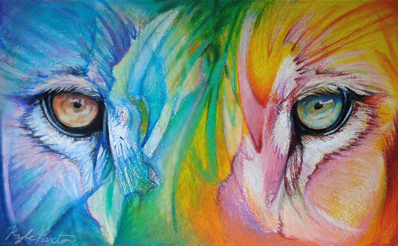 800x495 Lion Of Judah - Lion Of Judah Painting