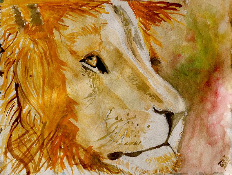 800x603 Lion Of The Tribe Of Judah By Swordofthespirit71 - Lion Of The Tribe Of Judah Painting