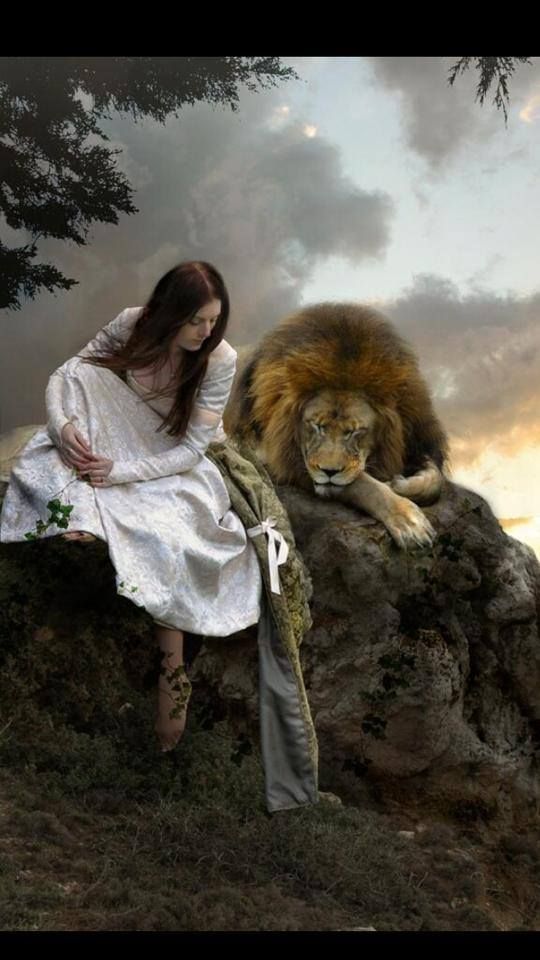 540x960 Lion Of The Tribe Of Judah Jesus Lions, Prophetic - Lion Of The Tribe Of Judah Painting