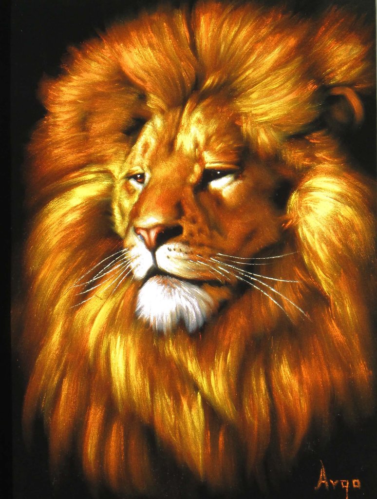 774x1024 Lion, Original Oil Painting On Black Velvet By Alfredo Rodriguez - Lion Oil Painting