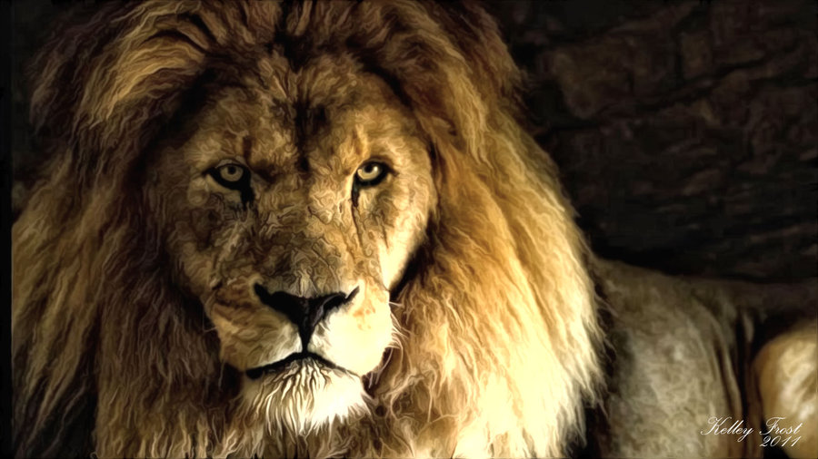 900x506 Lion Digital Oil Painting By Whendt - Lion Oil Painting