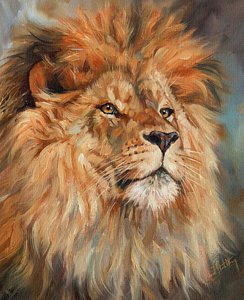 244x300 Lion Oil Paintings Fine Art America - Lion Oil Painting