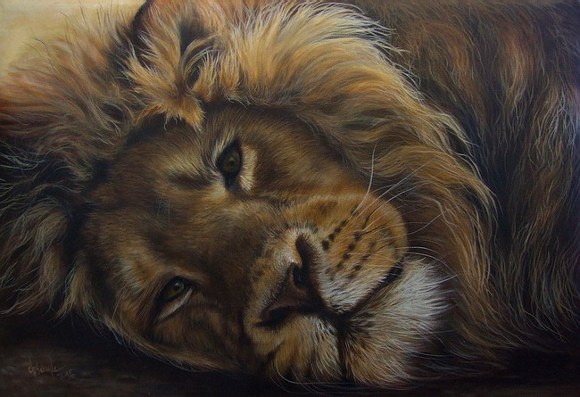650x445 Lion Oil Painting Christina Schulte Fine Art - Lion Oil Painting
