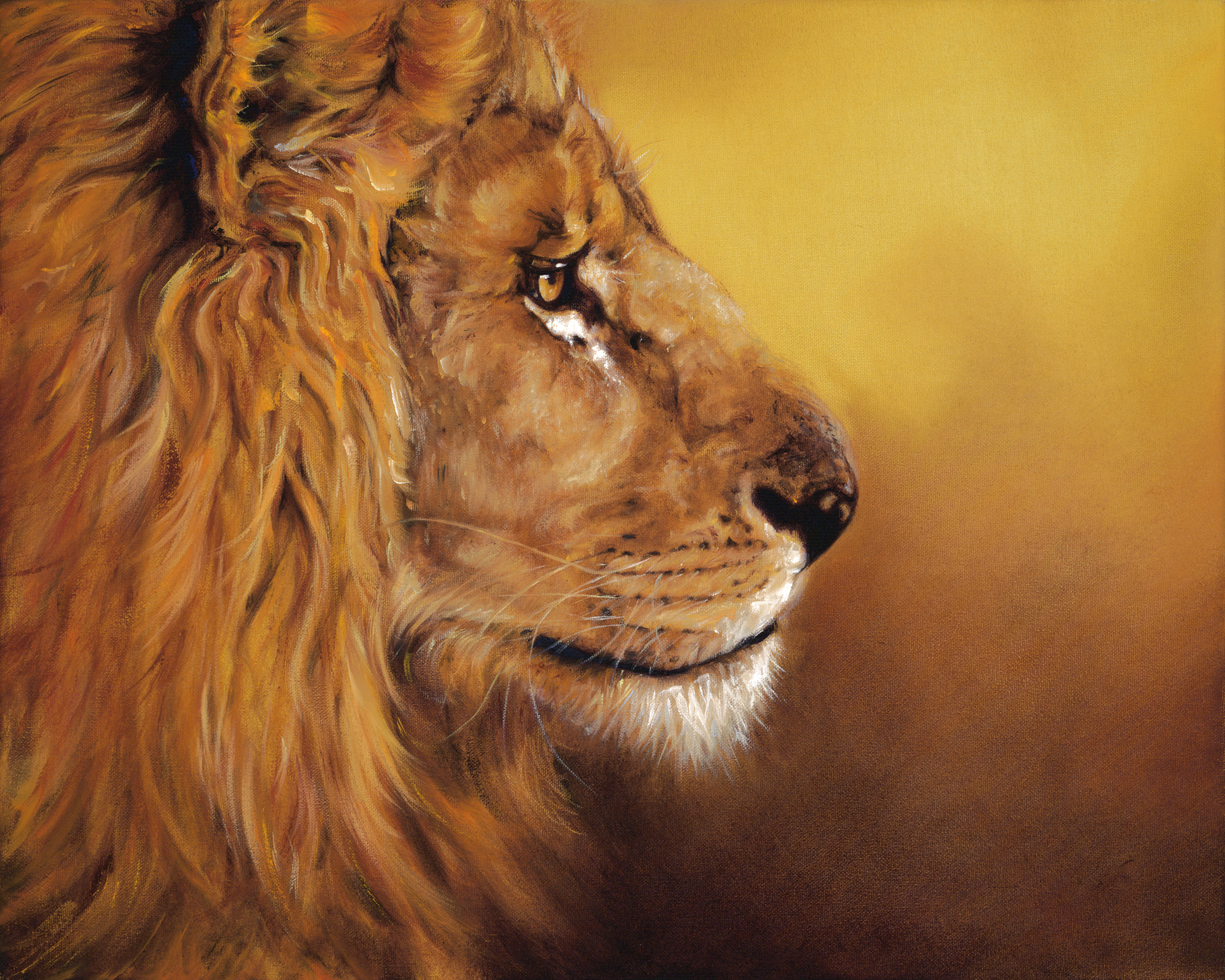 3000x2400 Carrie Dudley - Lion Oil Painting