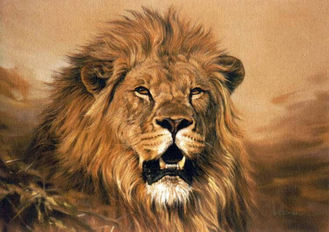 640x451 Free Shipping Handmade Lion Oil Paintings On Canvas Modern - Lion Oil Painting