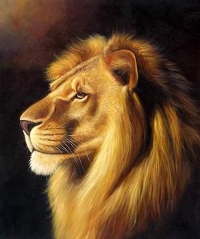 292x350 Hand Painted Animail Lion Oil Paintings Picture On Canvas High Q - Lion Oil Painting