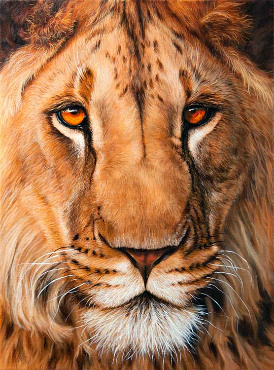 556x750 Lion Art How To Draw And Paint Animals - Lion Painting