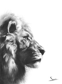 Lion Painting Black And White