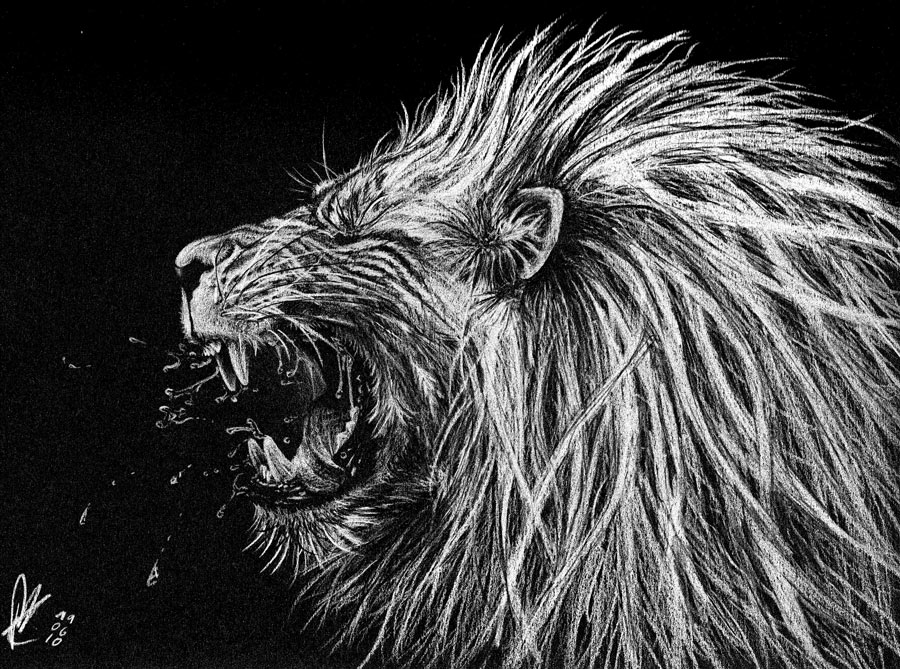 900x669 Black Lion Painting Paintpaul Fine Art Paintpaul - Lion Painting Black And White