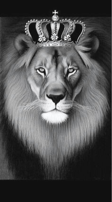 473x856 Crowned Lion Painting - Lion Painting Black And White