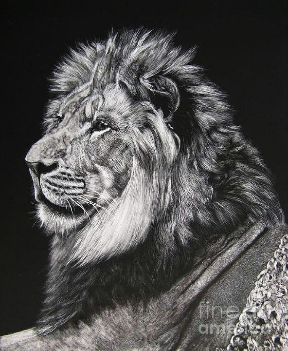 592x720 Lion King Painting By Sabine Lackner - Lion Painting Black And White