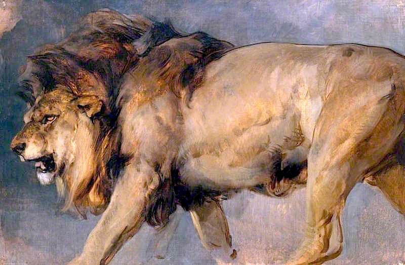 800x523 Study Of A Lion Painting Sir Edwin Landseer Oil Paintings - Lion Painting Images