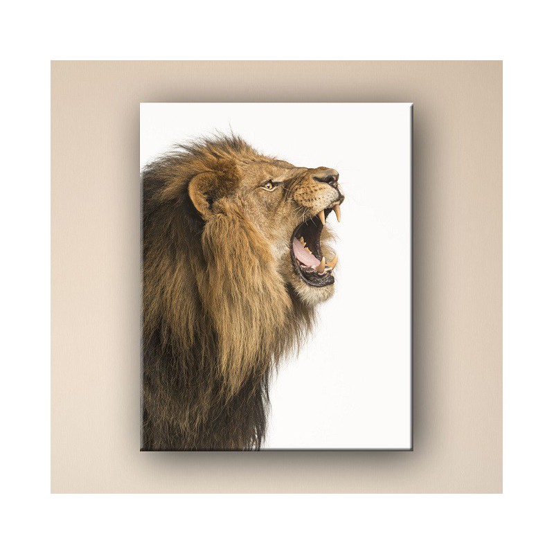 800x800 Lion Roar Painting, Animals Paintings - Lion Roaring Painting