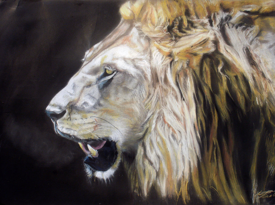 900x669 Lion Roar By Acejas - Lion Roaring Painting
