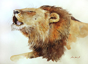 300x217 Male Lion Watercolor Art Painting By Juan Bosco - Lion Watercolor Painting