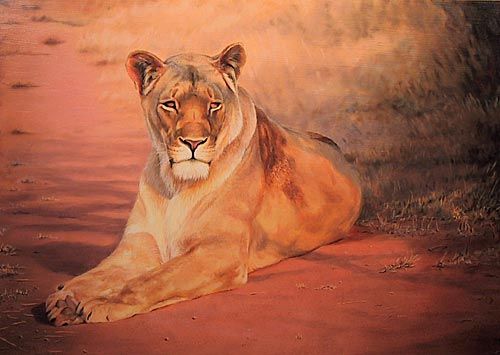 500x355 How To Paint A Lioness Painting In Oils - Lioness Painting