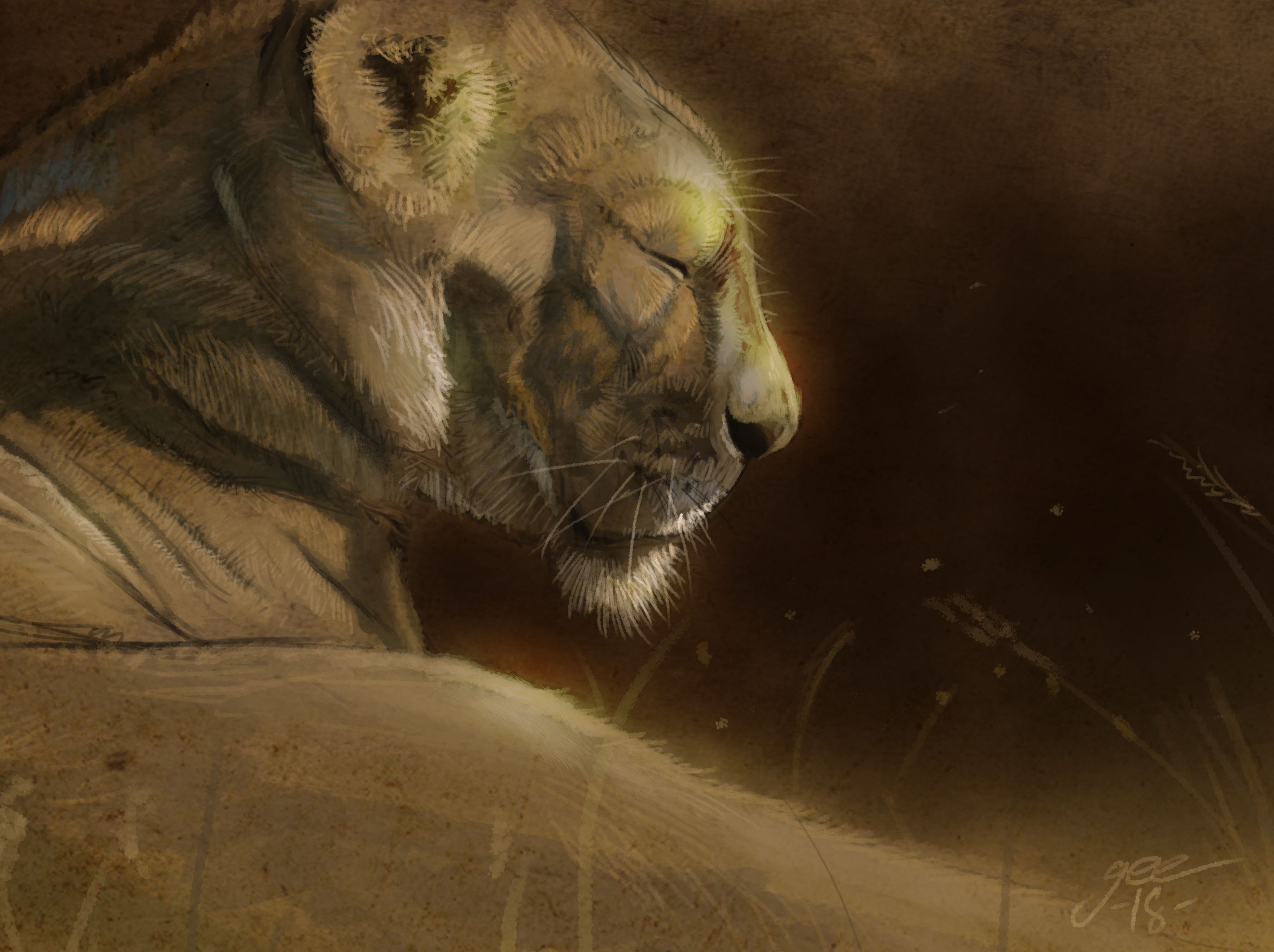 3613x2700 Lioness' - Lioness Painting
