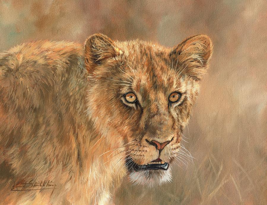 900x691 Lioness Painting By David Stribbling - Lioness Painting